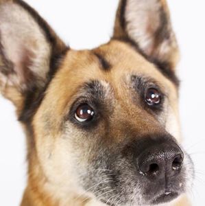 Meet your Posher, Leeann